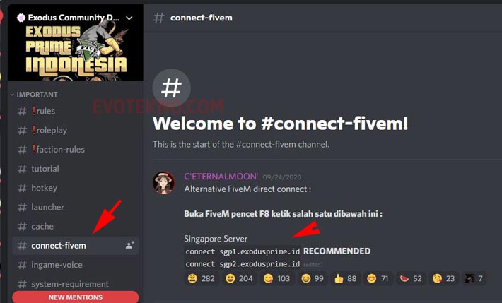 Direct Connect Domain Discord Exodus Prime Indonesia